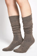 Plush High Tease Socks Socks NOCTEX DUST