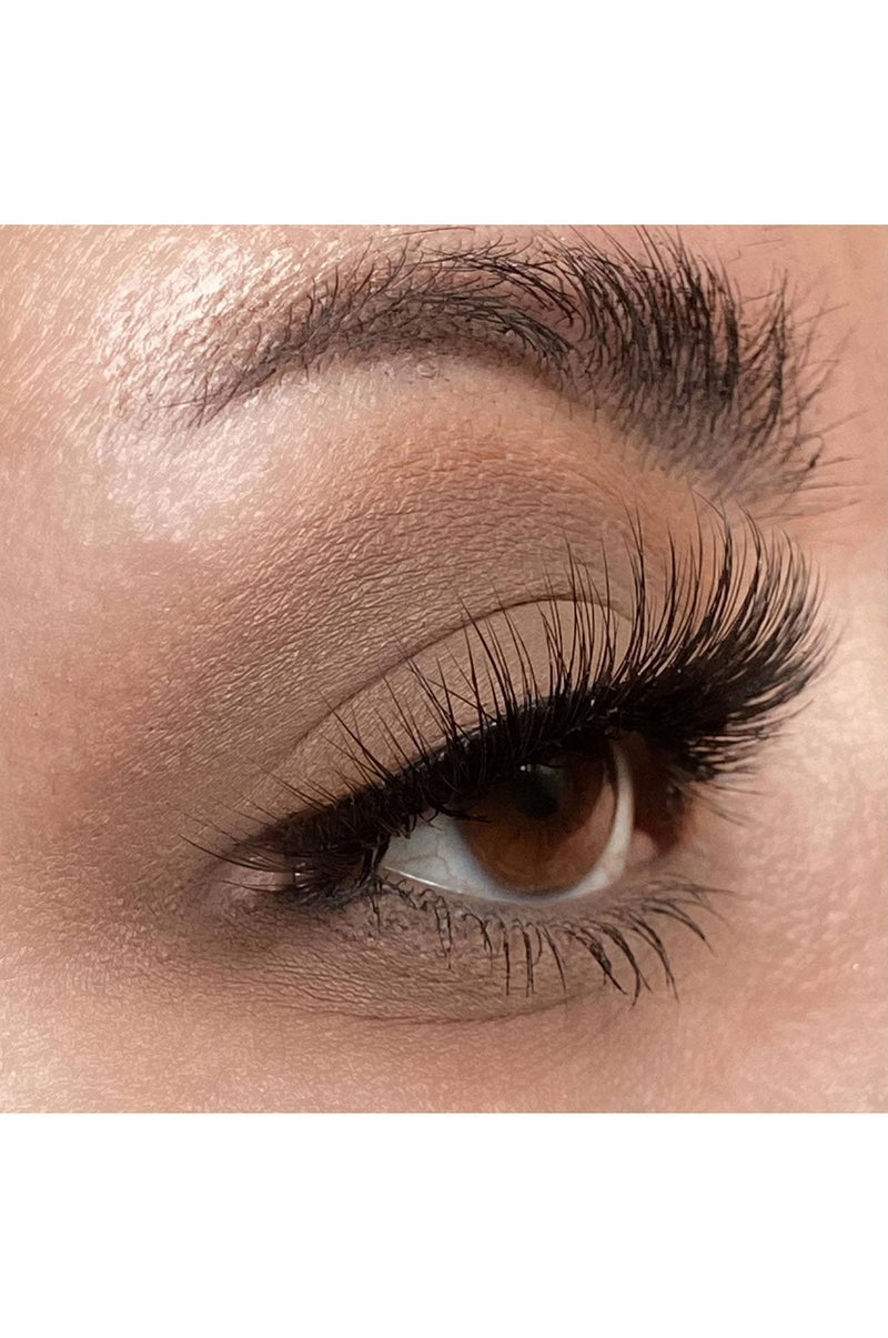 Space Dust Eyeshadow Eyes NOCTEX