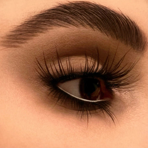 PENNY bin 147 Eyes NOCTEX