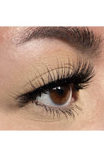 Home Planet Eyeshadow Eyes NOCTEX