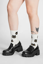 Curious Cat Socks Socks NOCTEX 