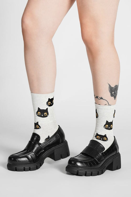 Curious Cat Socks Socks NOCTEX 
