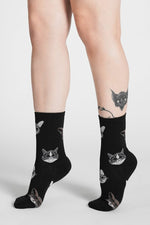 Little Gentlemen Cat Socks Socks NOCTEX 