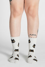 Curious Cat Socks Socks NOCTEX 
