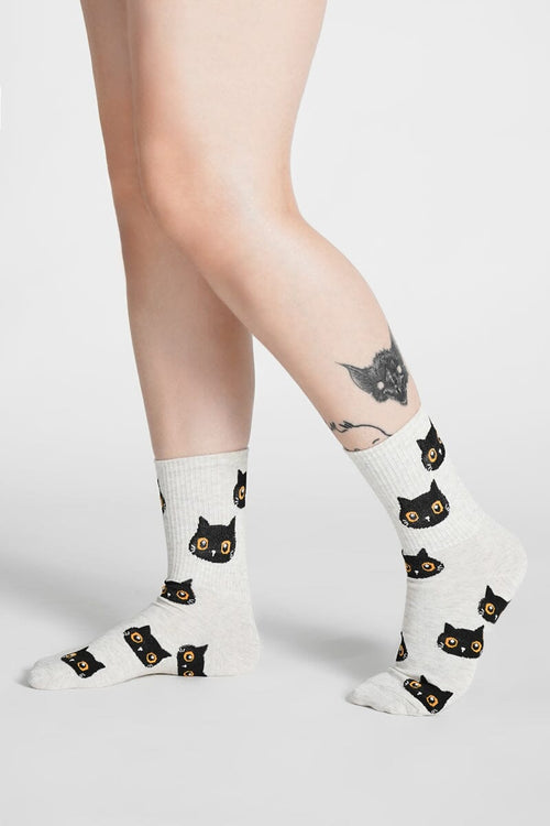 Curious Cat Socks Socks NOCTEX 