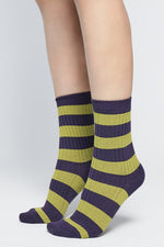 Dimension C Socks Socks NOCTEX 