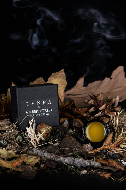 Amber Forest | Solid Perfume Fragrance Lvnea Perfume 