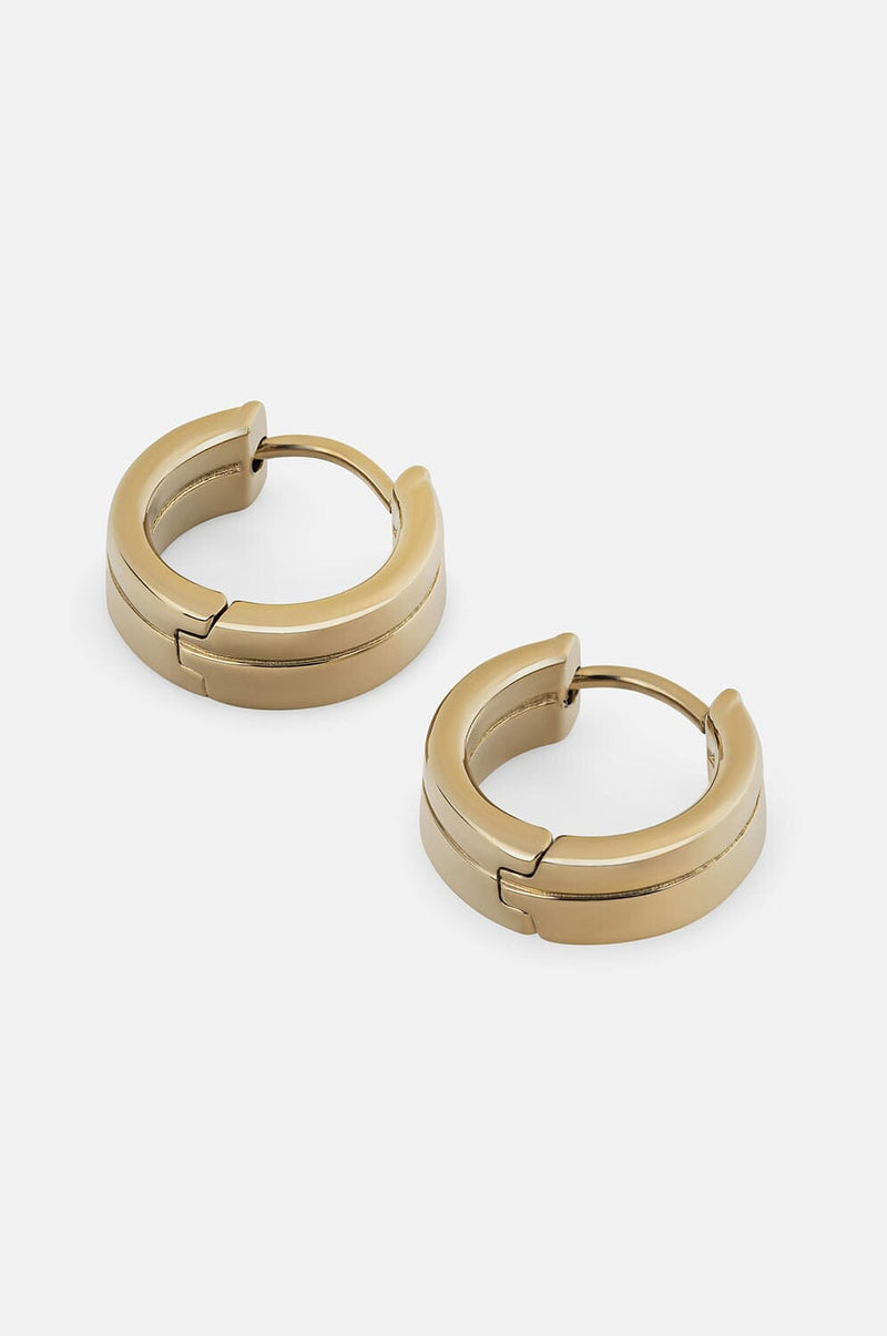 Agile Earrings Earrings Vitaly Gold 