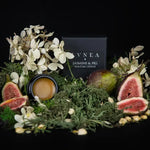 Jasmine & Fig | Parfum Crème Fragrance Lvnea Perfume 