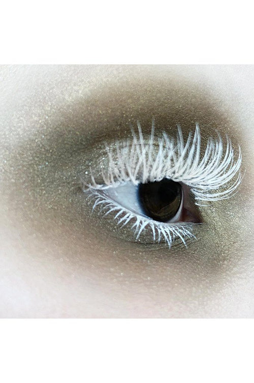 Frame Eyeshadow - Noctex - NOCTEX beauty, cosmetics, eyes, eyeshadow, Gold, Made in Canada/USA, Made in USA/Canada, makeup, Metallic, NOCTEX, vegan Eyes