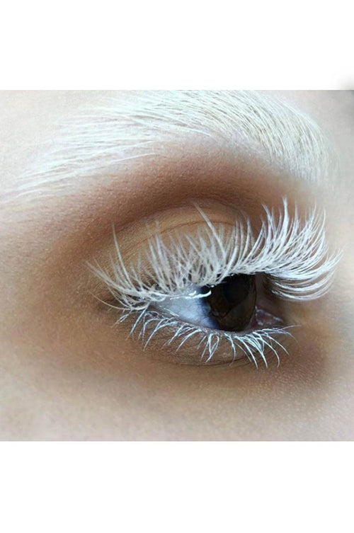 Space Dust Eyeshadow - Noctex - NOCTEX beauty, brown, cosmetics, eyes, eyeshadow, Made in Canada/USA, Made in USA/Canada, makeup, Matte, neutral, NOCTEX, sale, sale20, vegan Eyes