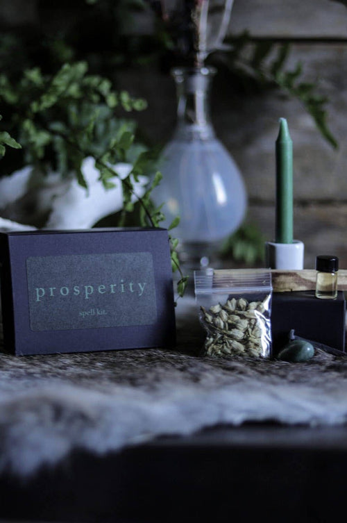 Prosperity Spell Kit Occult Ritualcravt 